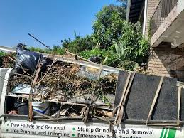 Best Dumpster Rental Services  in Greenville, DE